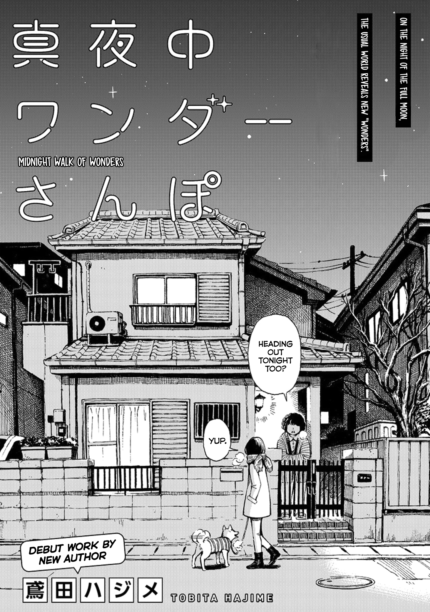 Midnight Walk of Wonders 第1页