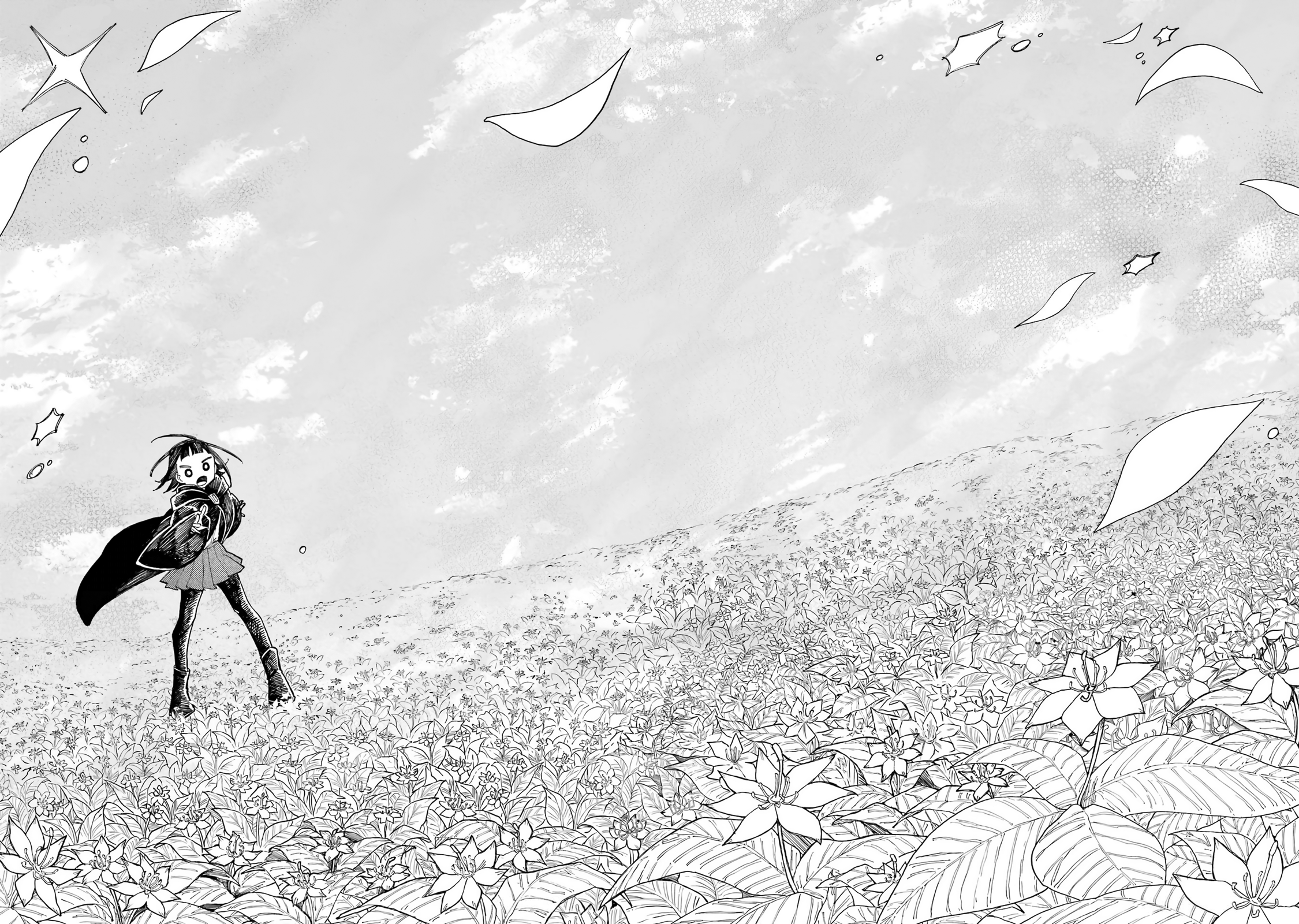 Endroll no Ato ni wa Saikou no Tabi o Flower of the Forest Star 第18页