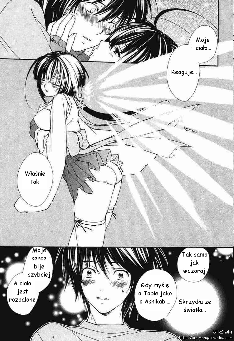 Sekirei Siostry światła 第13页