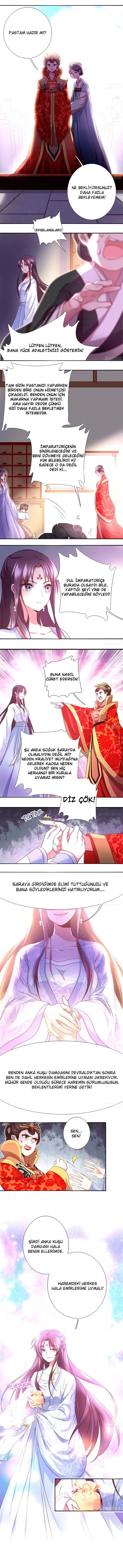 Holy Chef, Crazy Empress Cariyelerin Efendisi 第5页