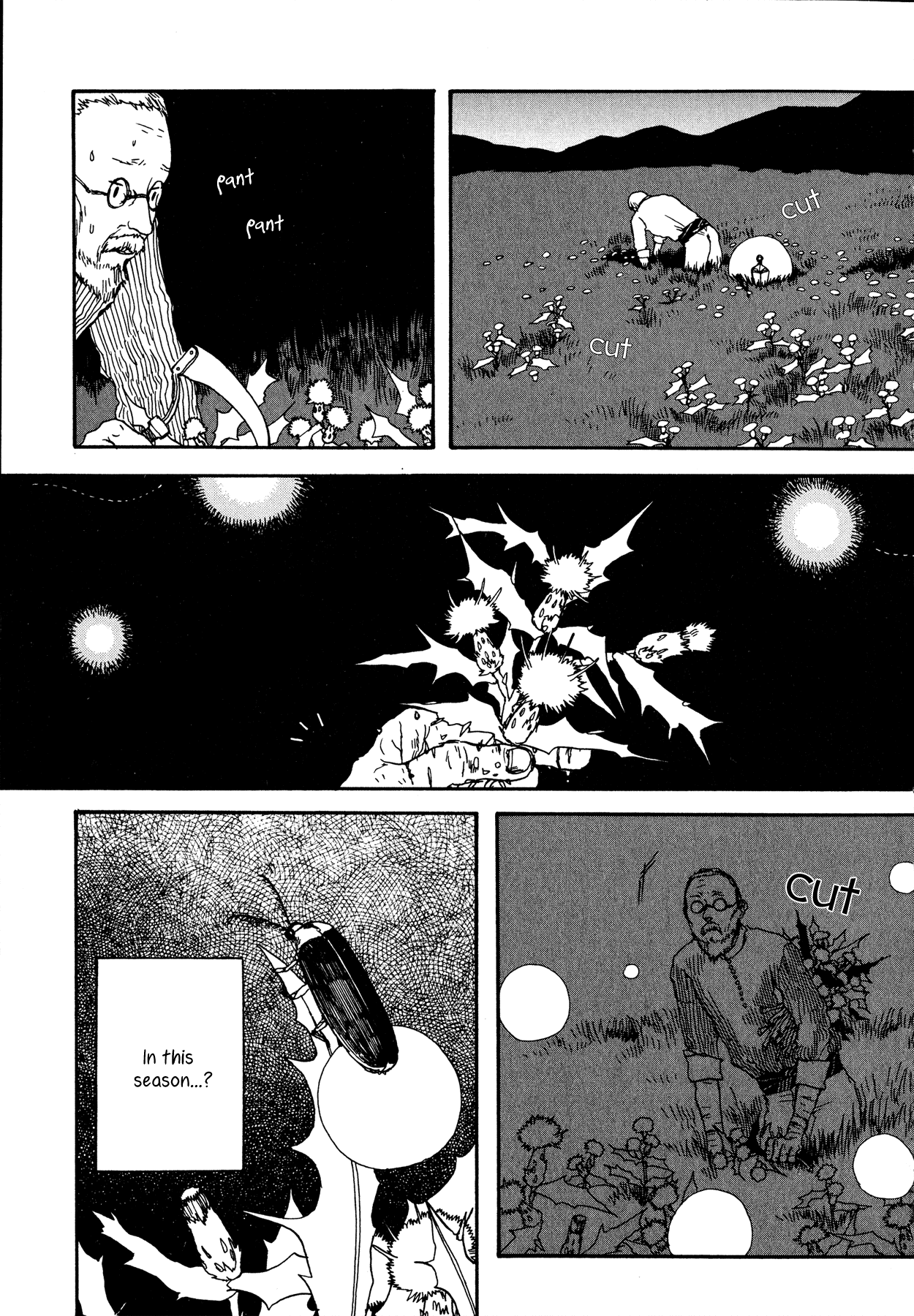The Land Is a Garden in Your Pocket Fatma's Fourth Place Garden 第21页