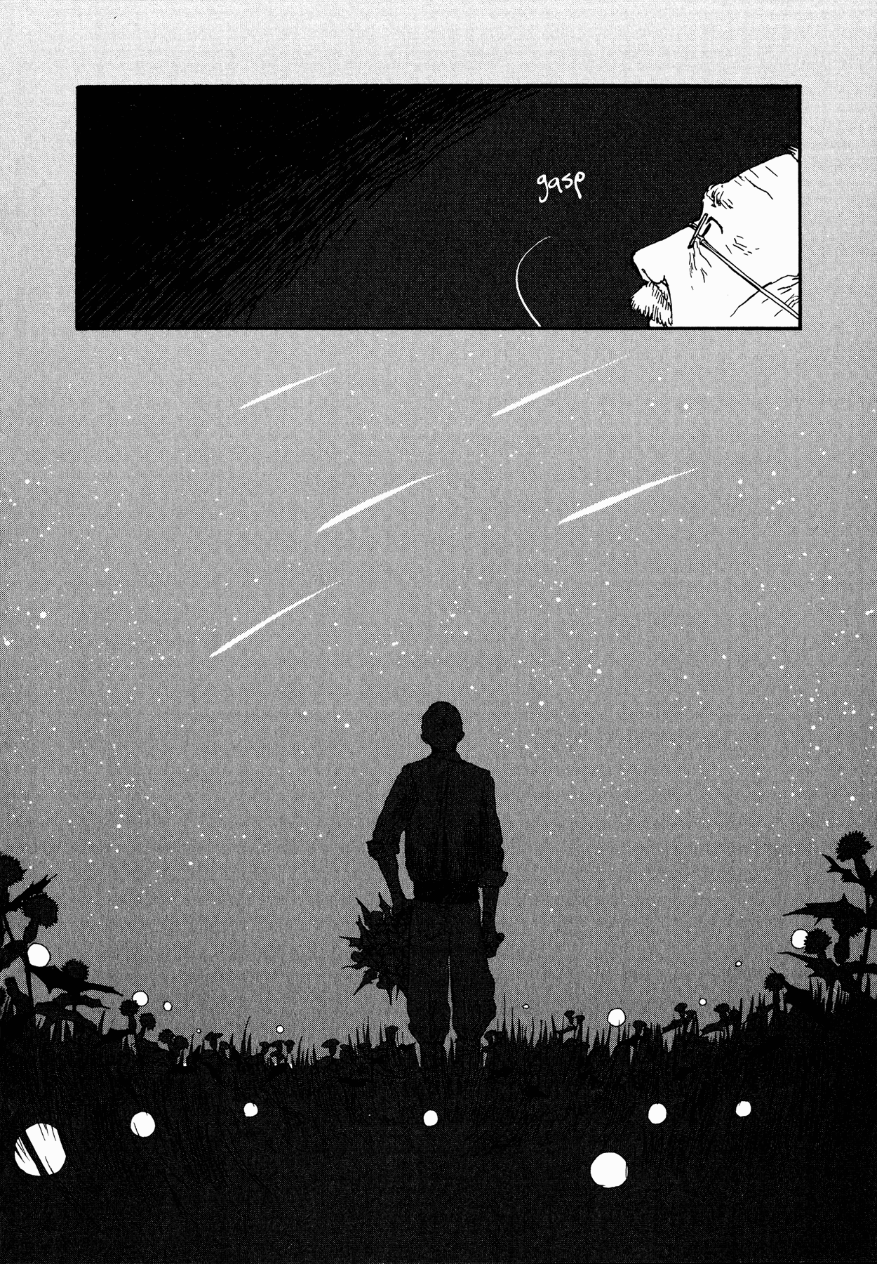 The Land Is a Garden in Your Pocket Fatma's Fourth Place Garden 第22页