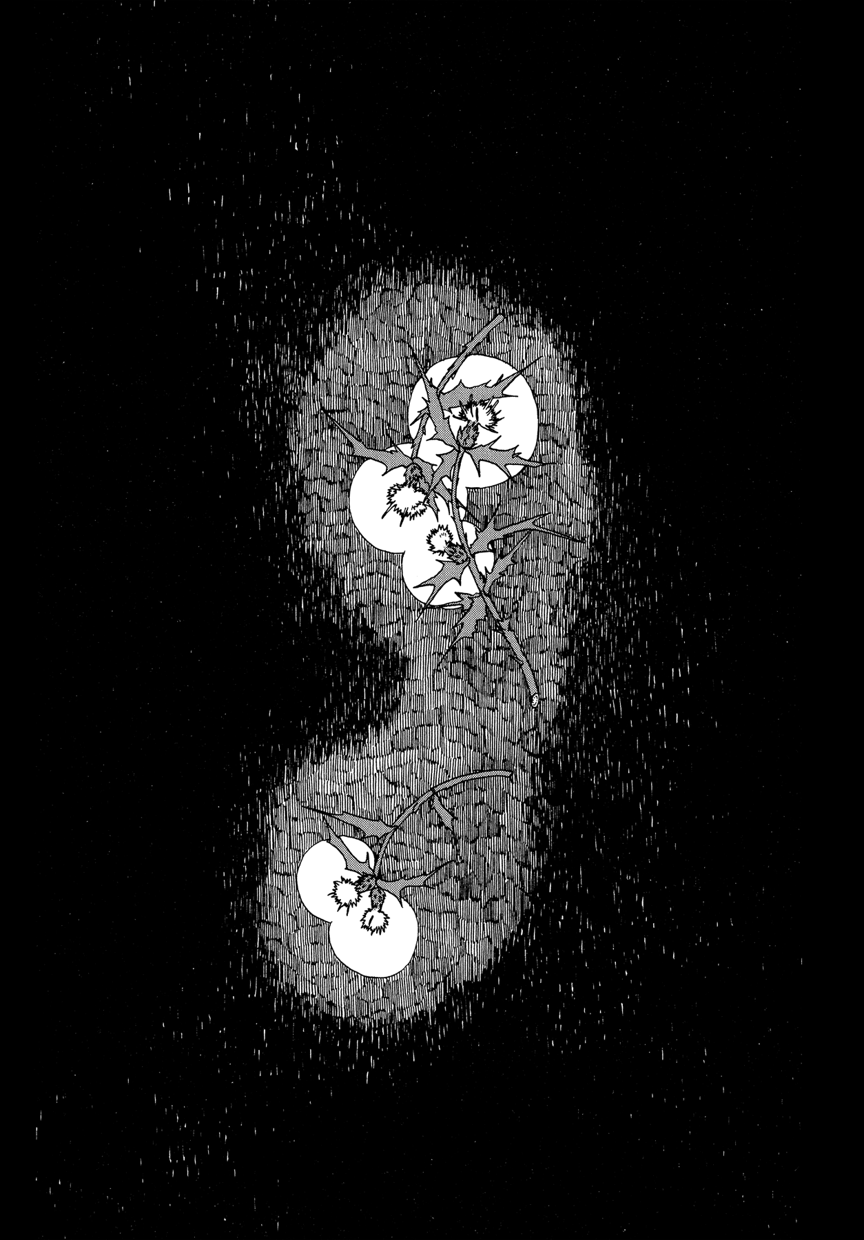 The Land Is a Garden in Your Pocket Fatma's Fourth Place Garden 第27页