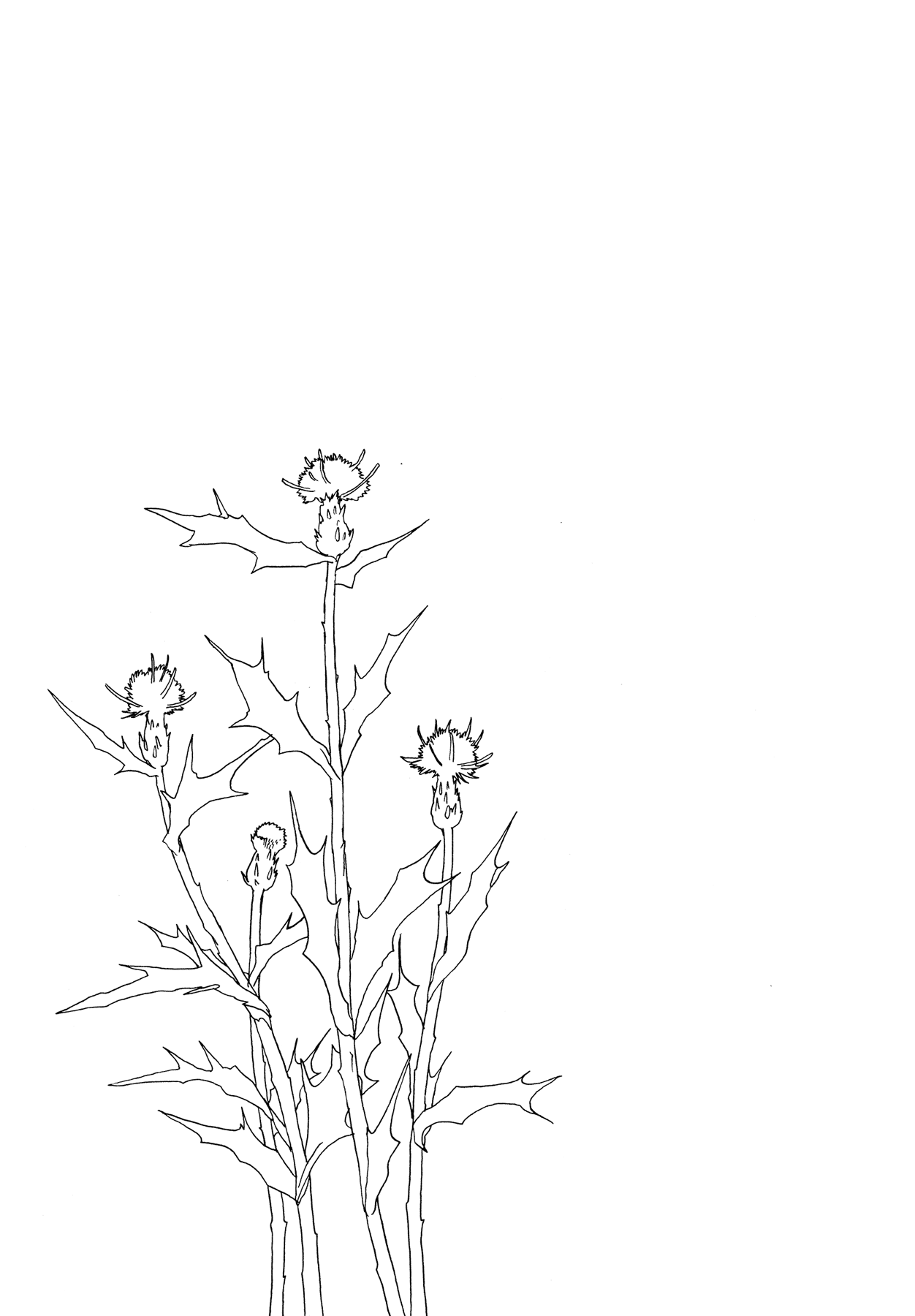 The Land Is a Garden in Your Pocket Fatma's Fourth Place Garden 第31页