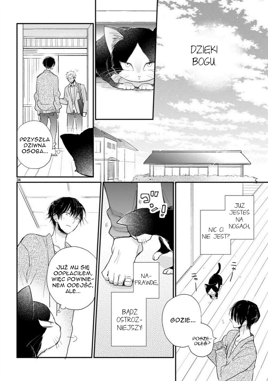 My Roommate Is a Cat Rozdział 1 第35页