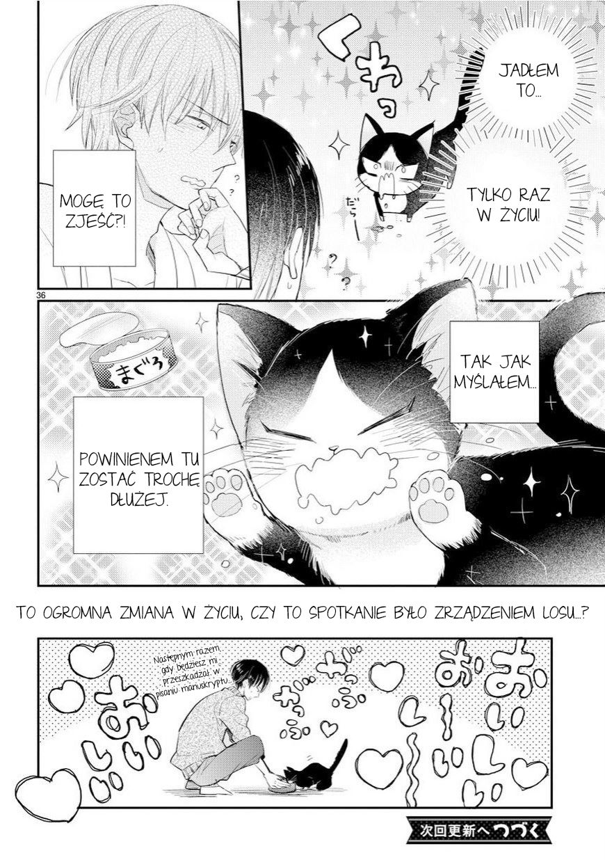 My Roommate Is a Cat Rozdział 1 第37页