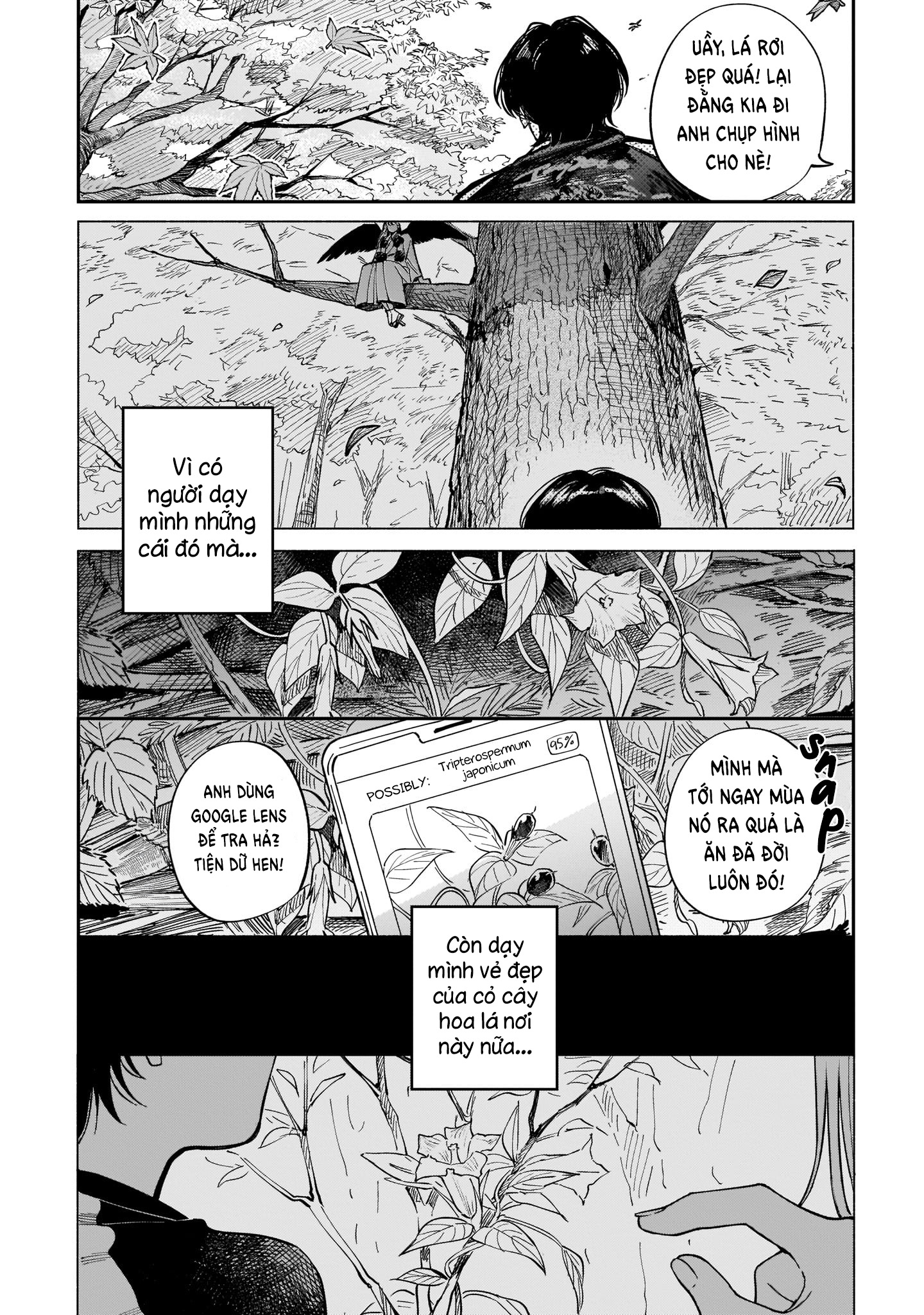 The Hachioji Specialty: Tengu's Love Một Tengu biết yêu ngự trên núi Takao. 第24页