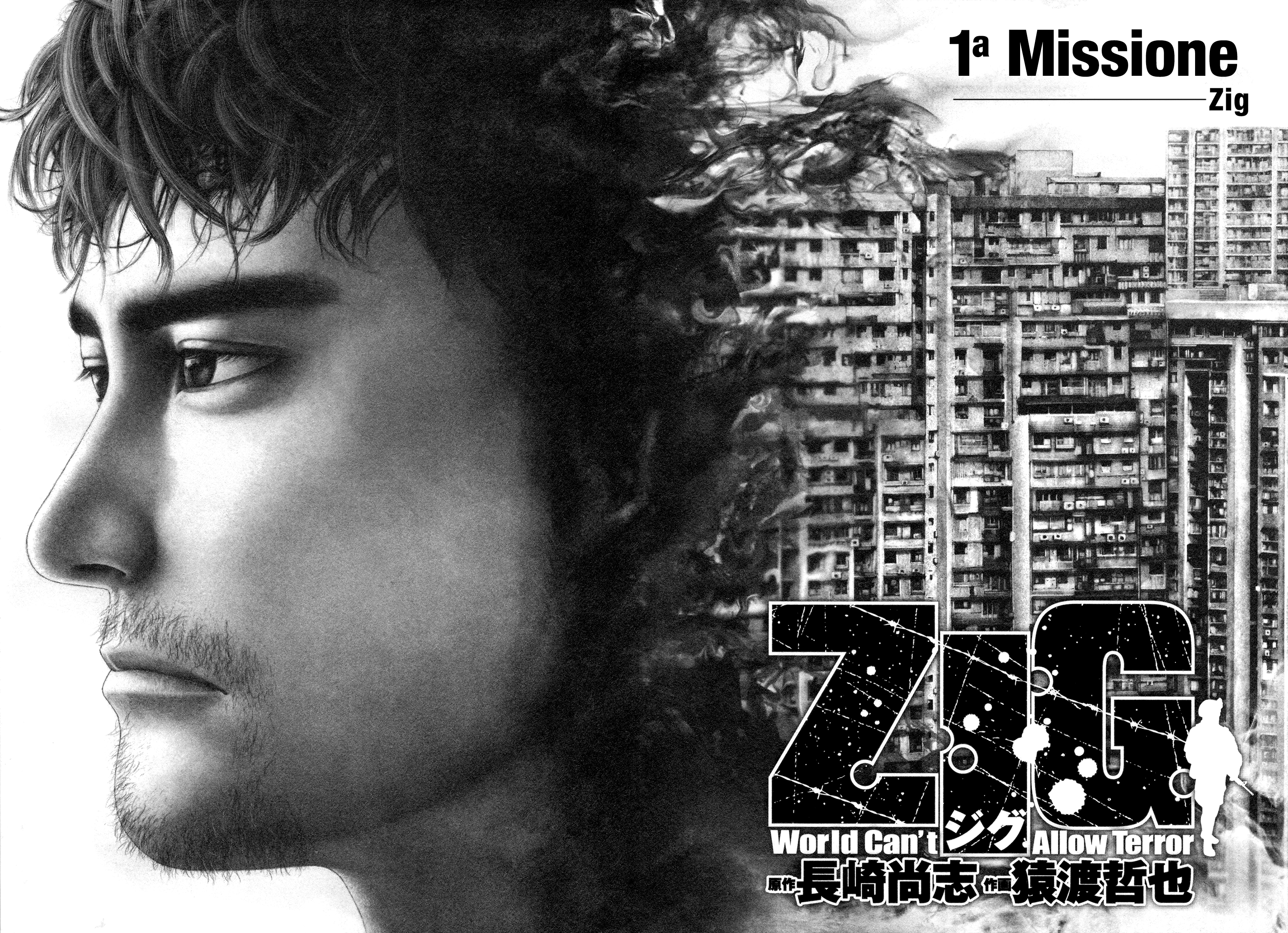 ZIG 第4页