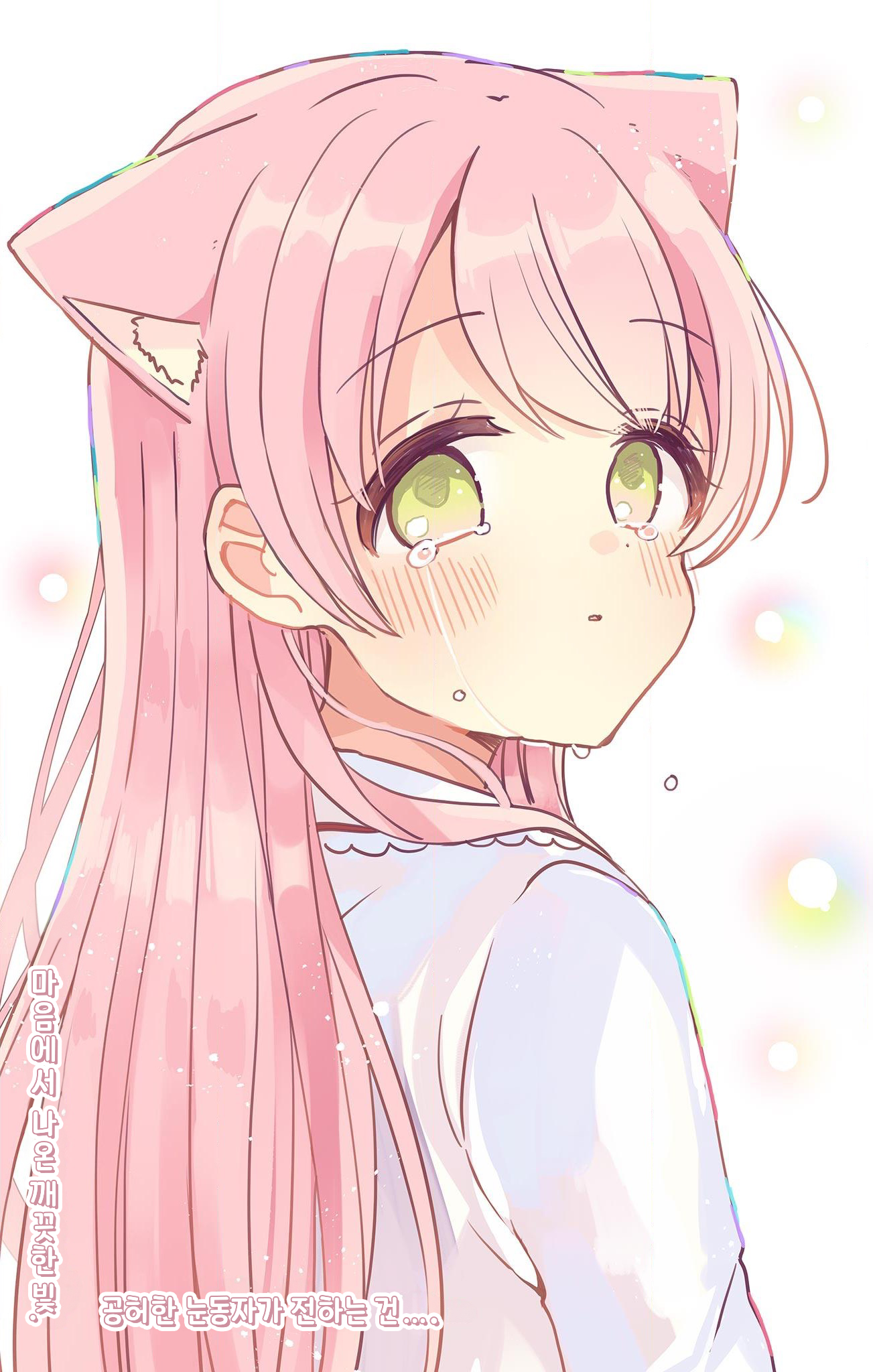 Fushigi na Neko no Machi Meltier 믿어줘 第29页