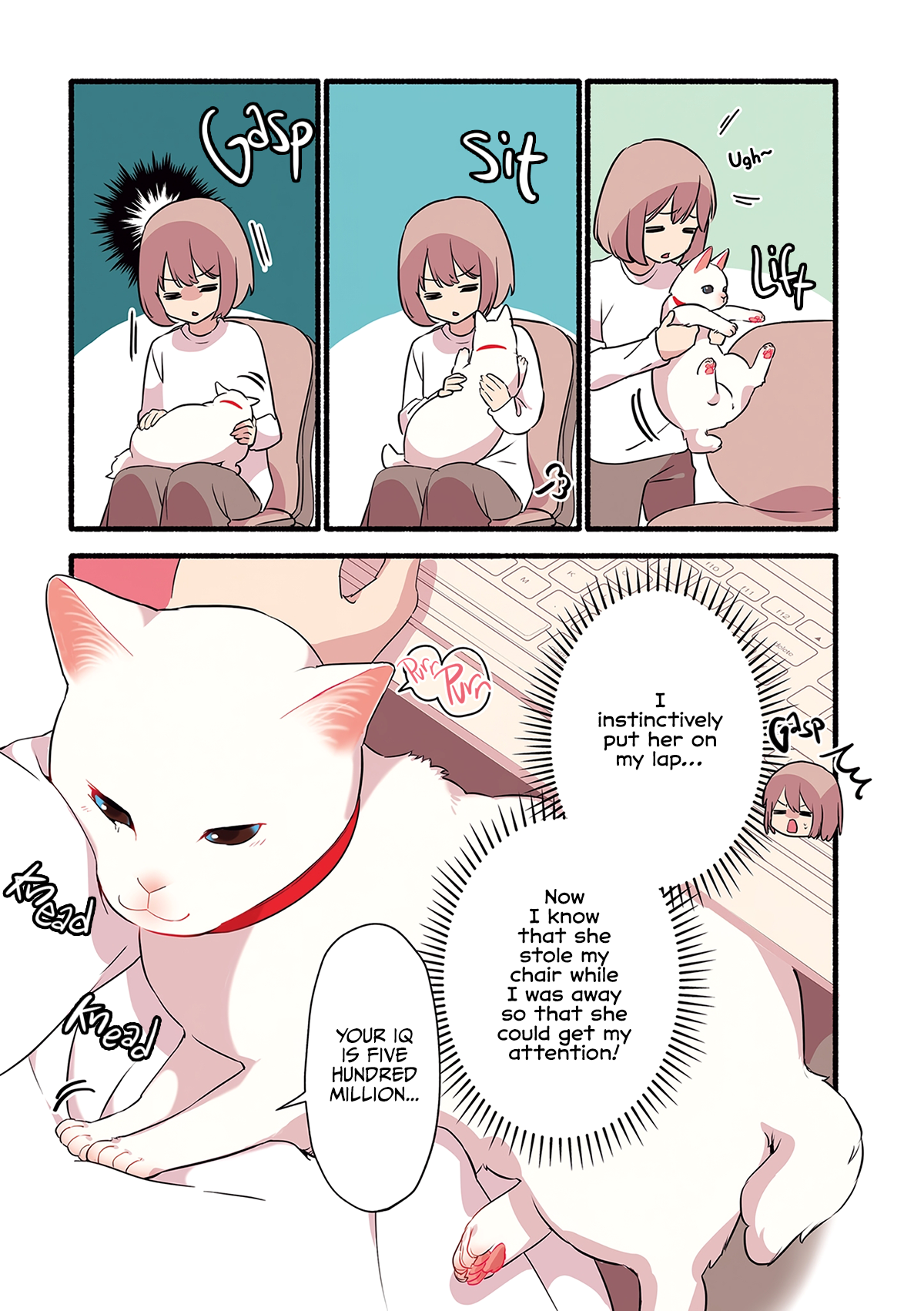 Aisaretagari no Shironeko Miko-san Part 3: Miko-san And Drawing Tablets 第3页