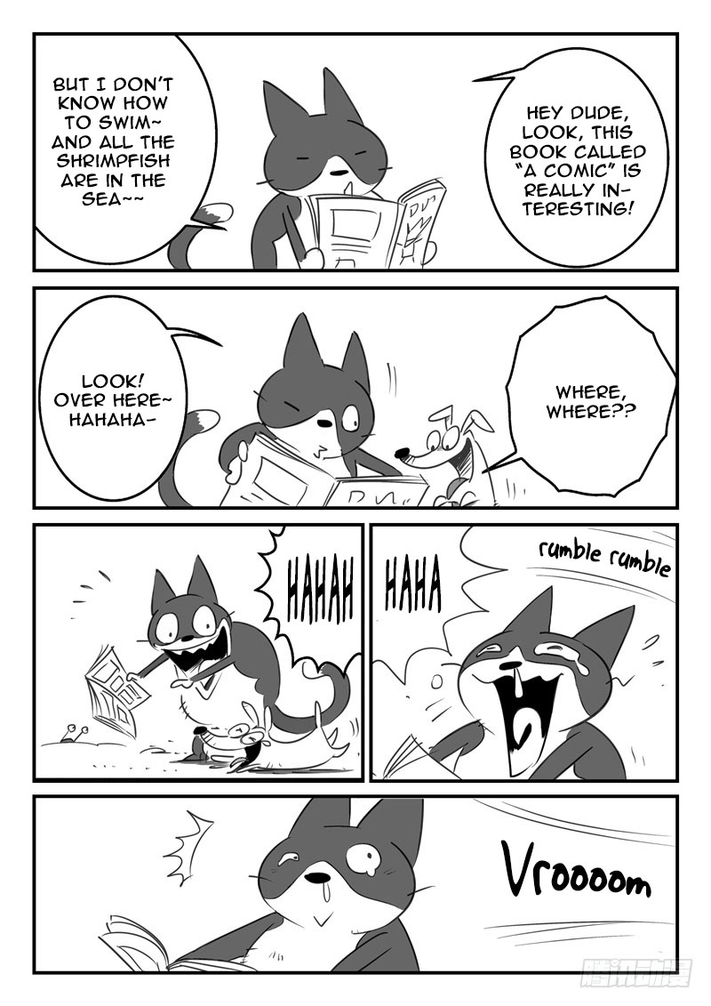 Shadow Cat Shrimpfish Bay 第12页