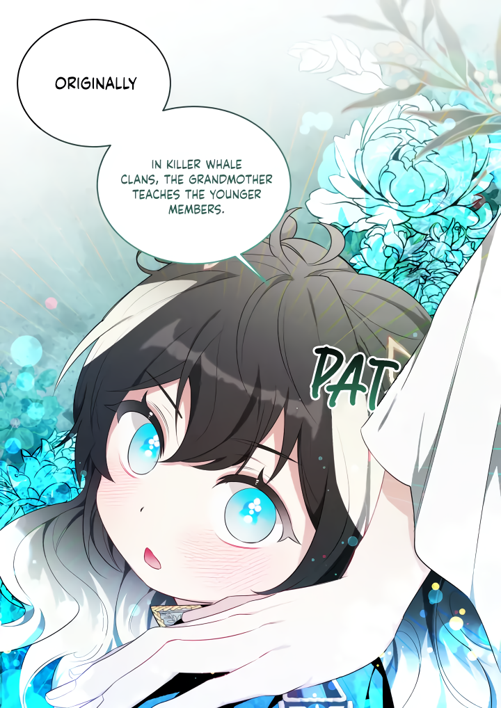 Black Killer Whale Baby (Promo) Oneshot 第28页