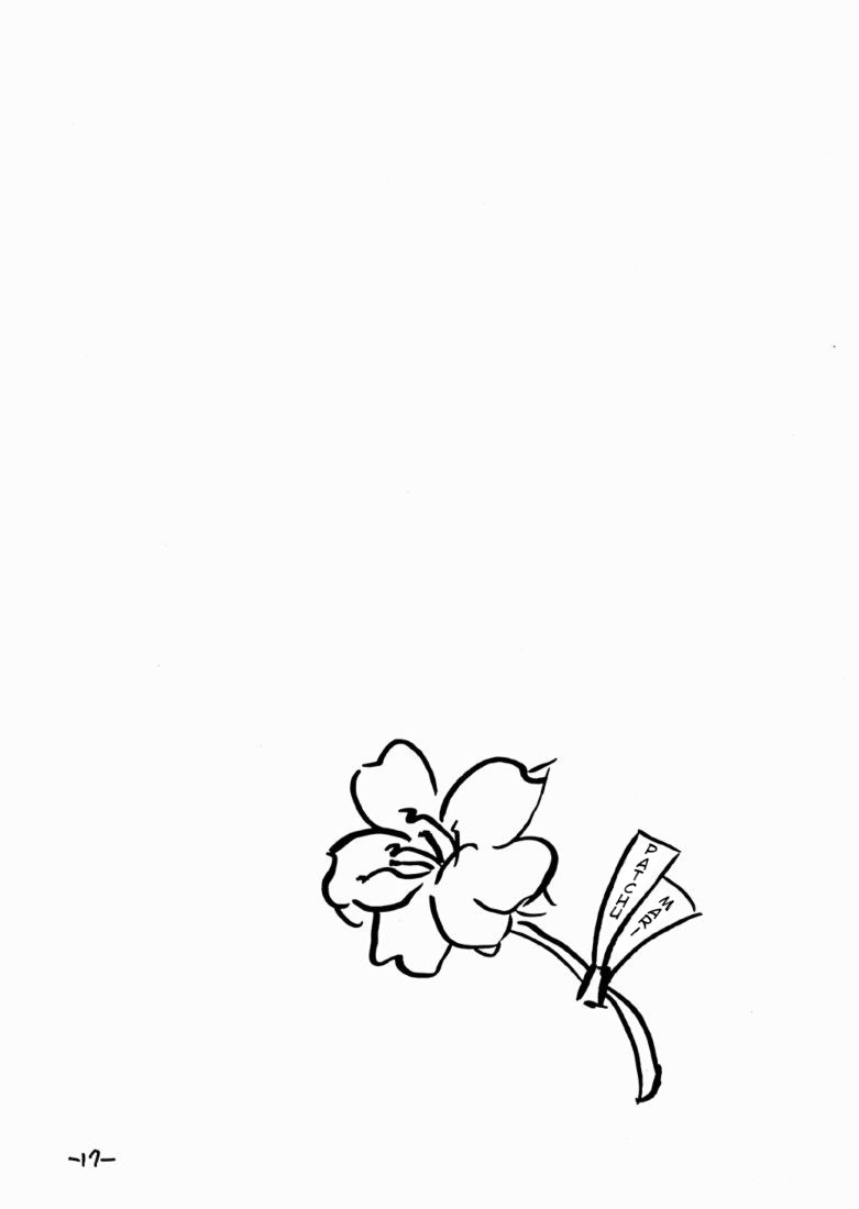Touhou - Crimson Lily Report (Doujinshi) Oneshot 第17页