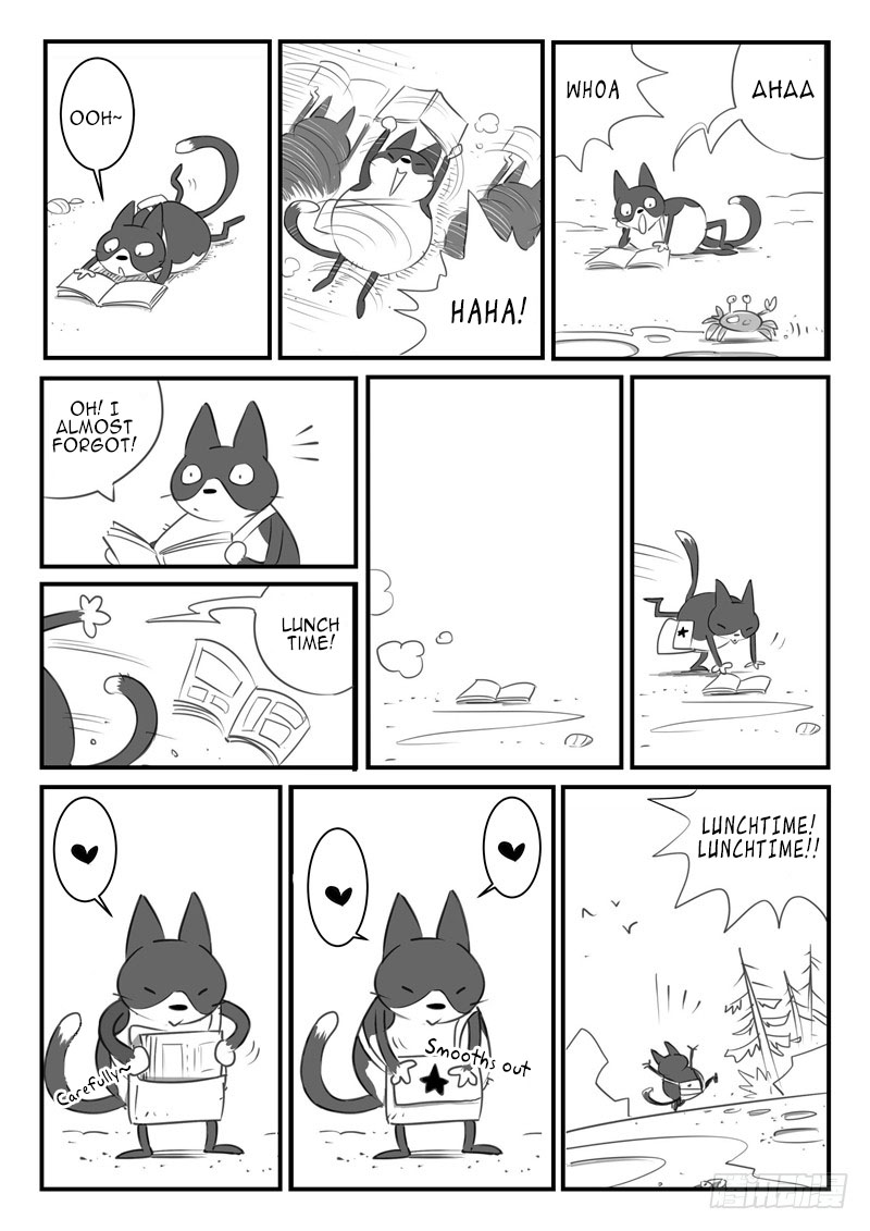 Shadow Cat Shrimpfish 第11页