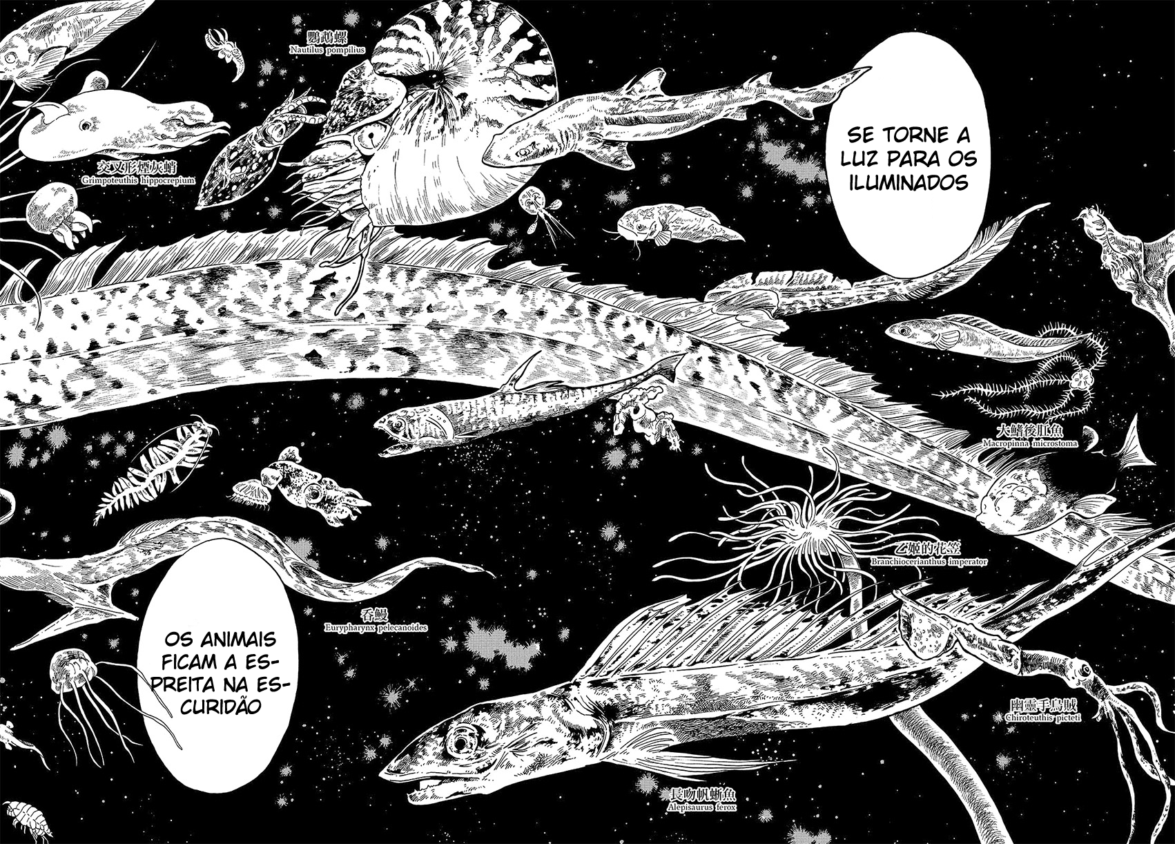 Magmell Shinkai Suizokukan Lula gigante 第14页
