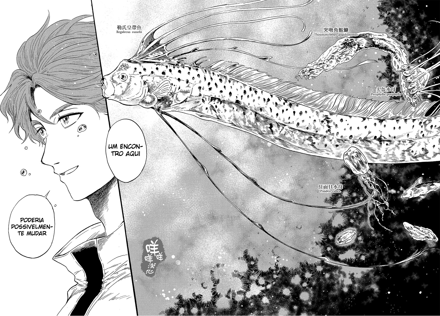 Magmell Shinkai Suizokukan Lula gigante 第15页