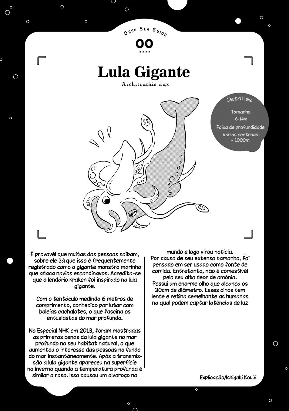 Magmell Shinkai Suizokukan Lula gigante 第17页