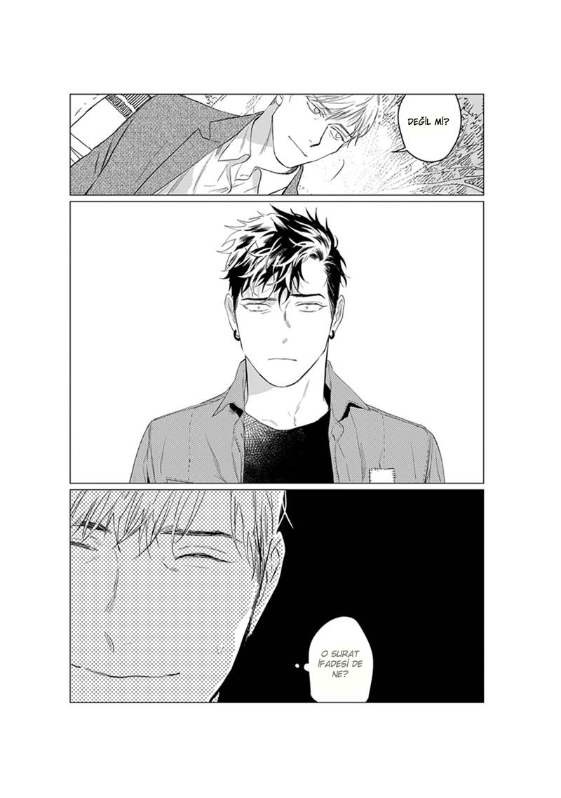 On Doorstep END 第17页