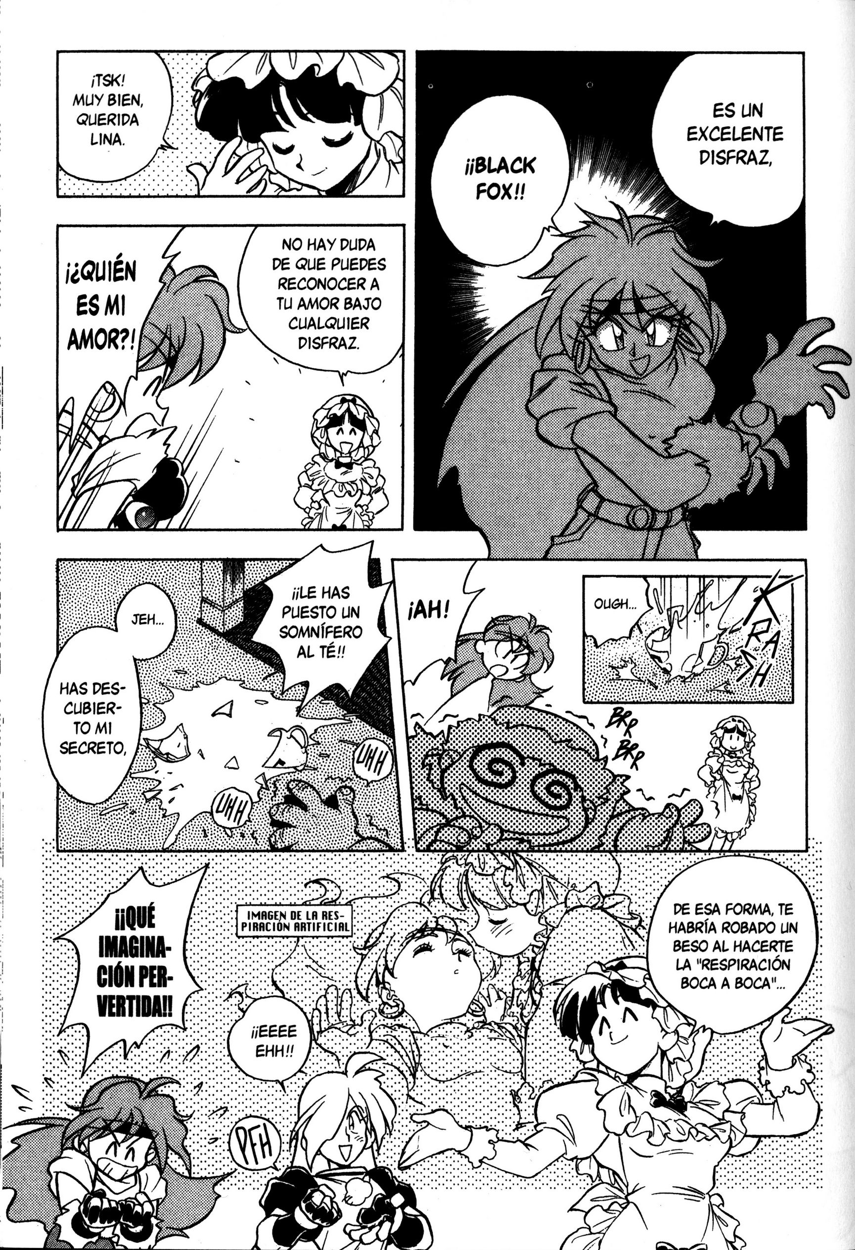 Slayers El misterioso ladrón negro 第11页
