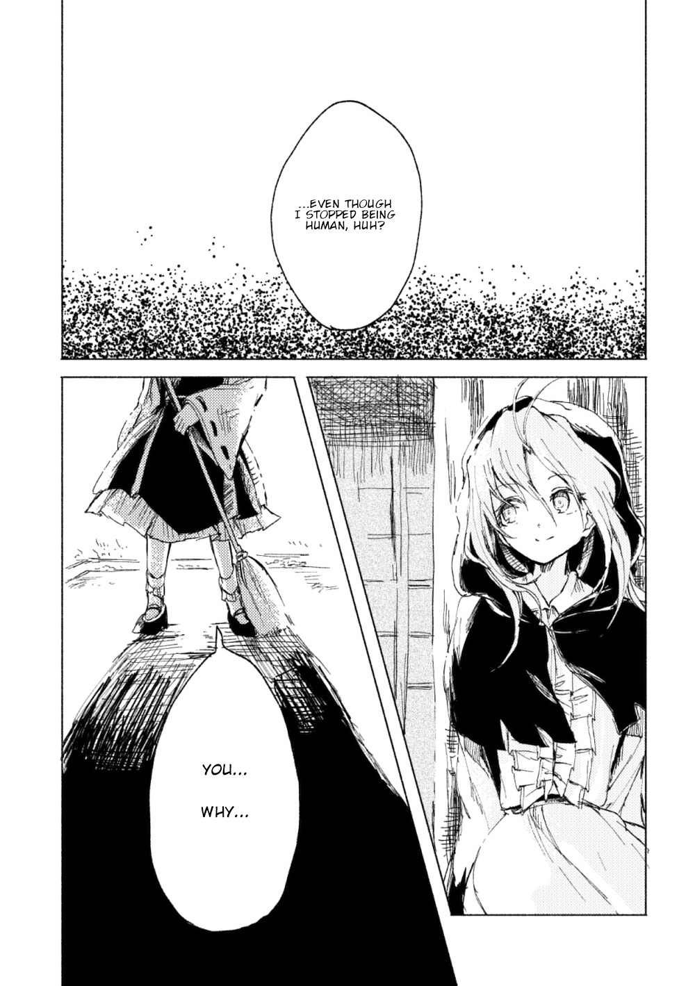 Touhou - Tokifuserareta Mysterious (Doujinshi) Reflecting That Sky 第10页