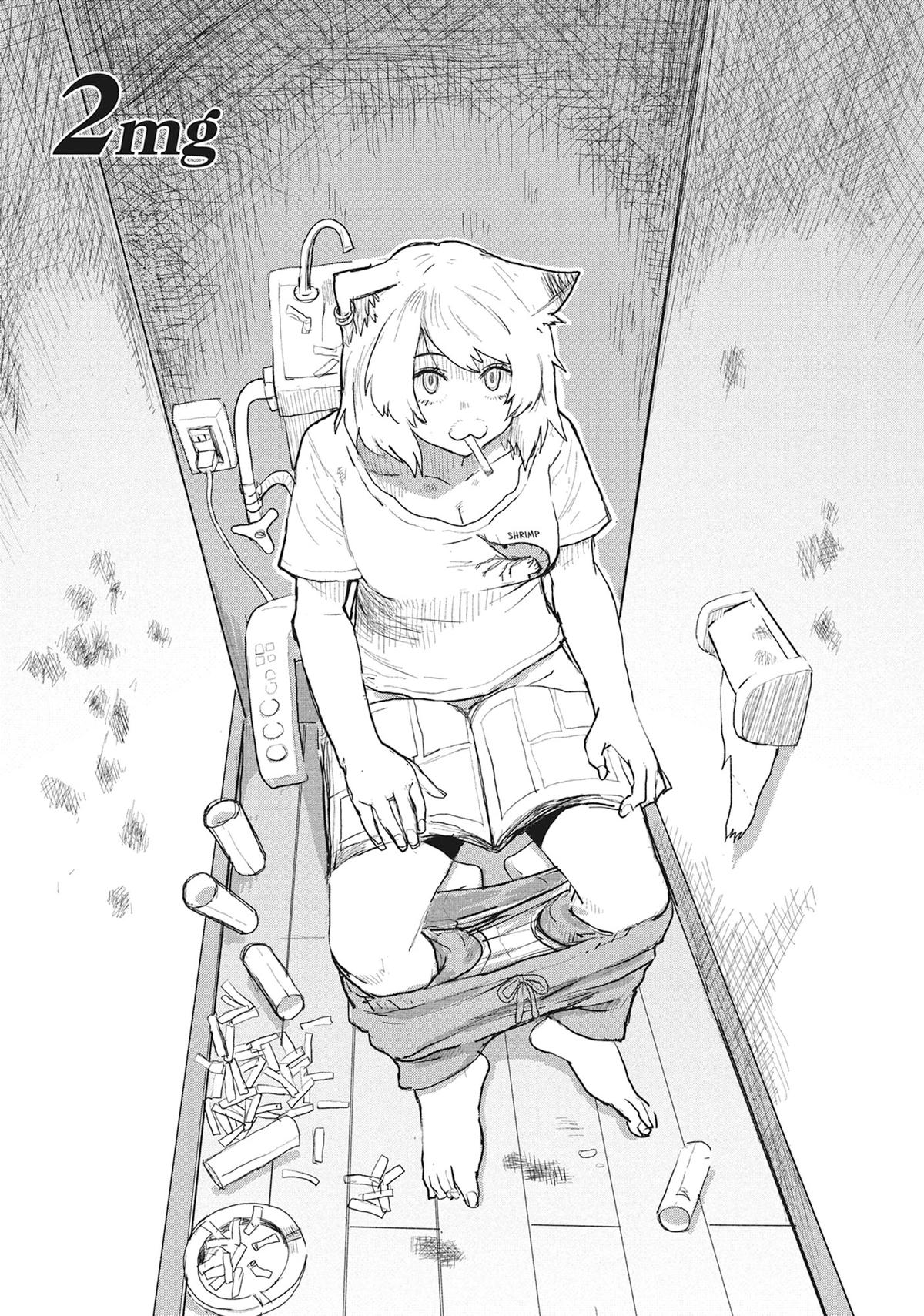 Yani Neko 2mg 第1页