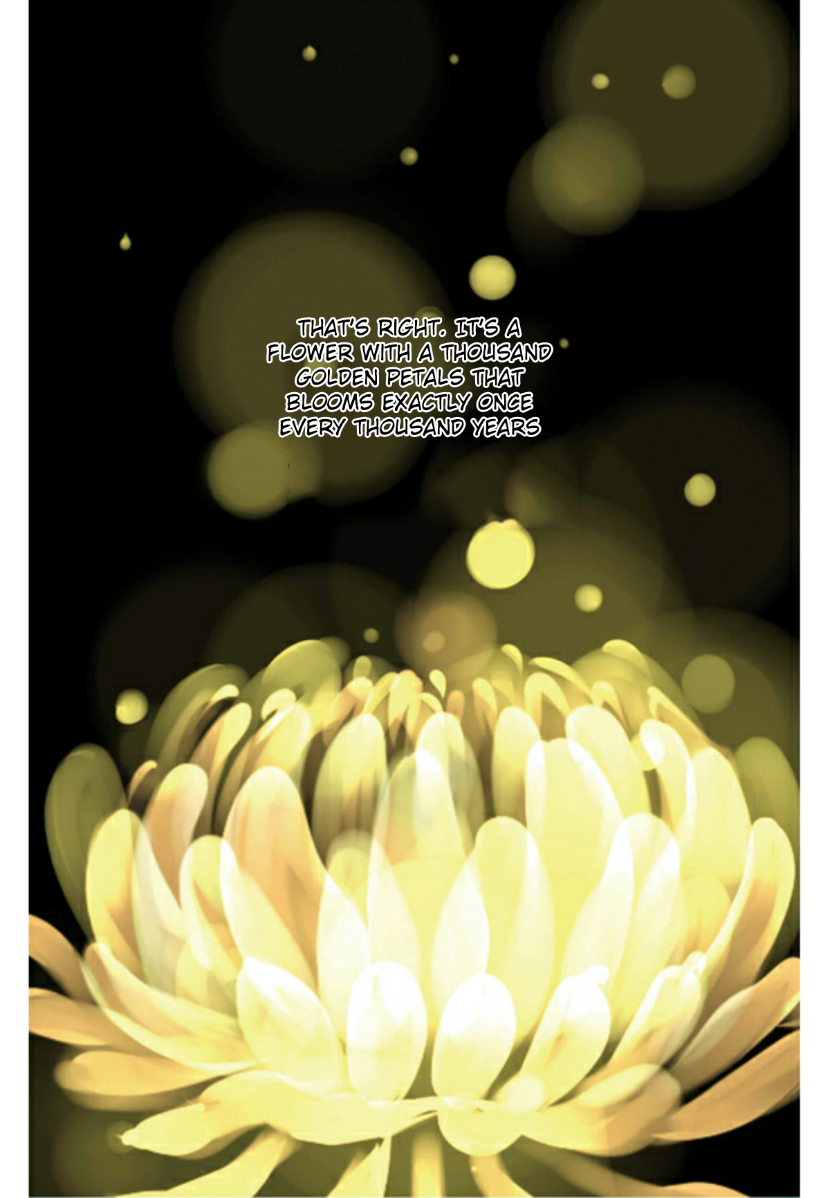 A Thousand Petals 第7页