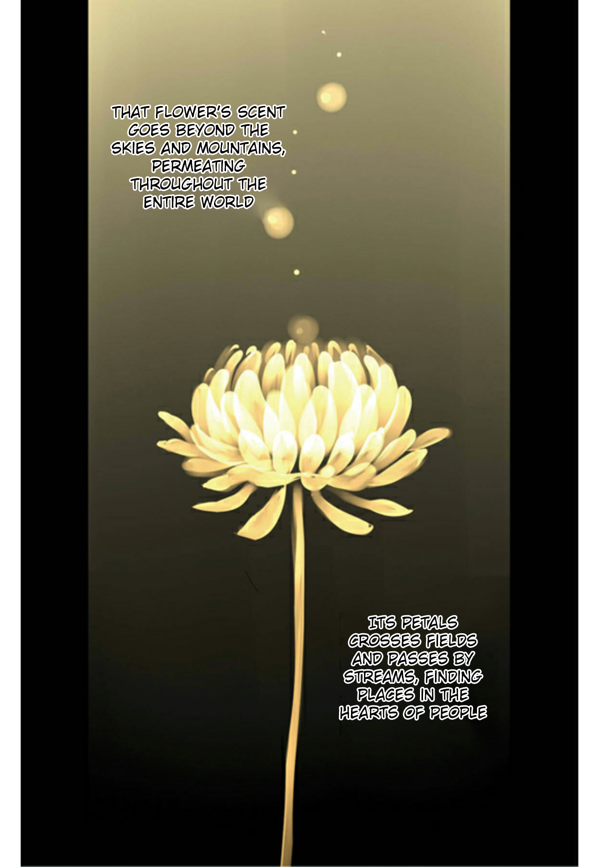 A Thousand Petals 第8页