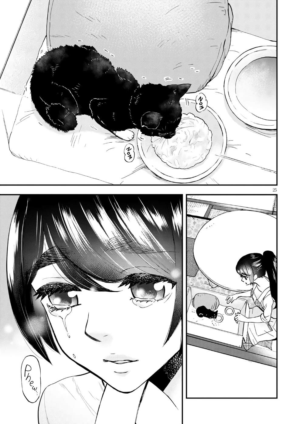 Hosomura-san and the Cat's Snack Chicken Porridge and Boiled Chicken with Kumquat Miso 第27页