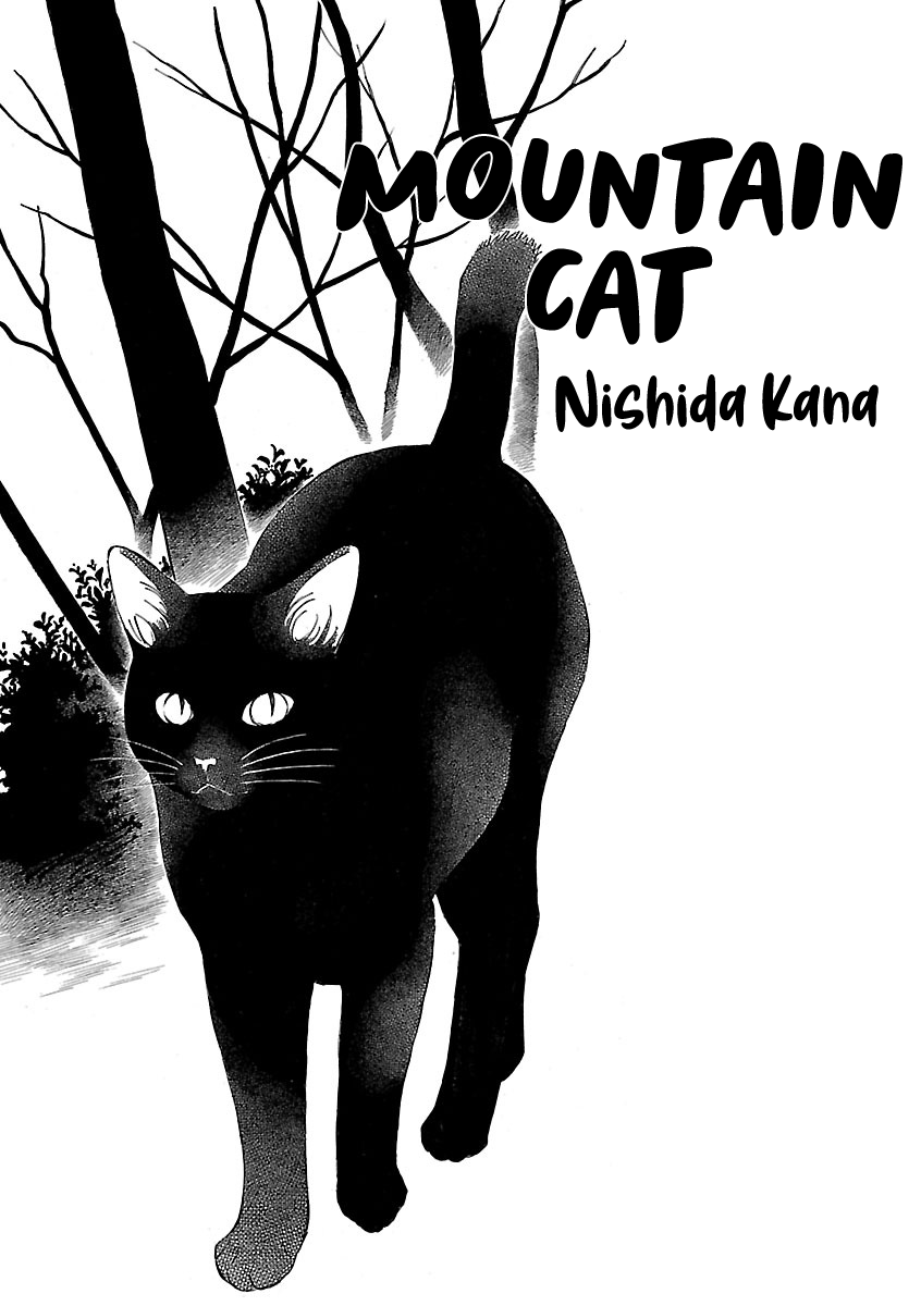 Mountain Cat 第1页