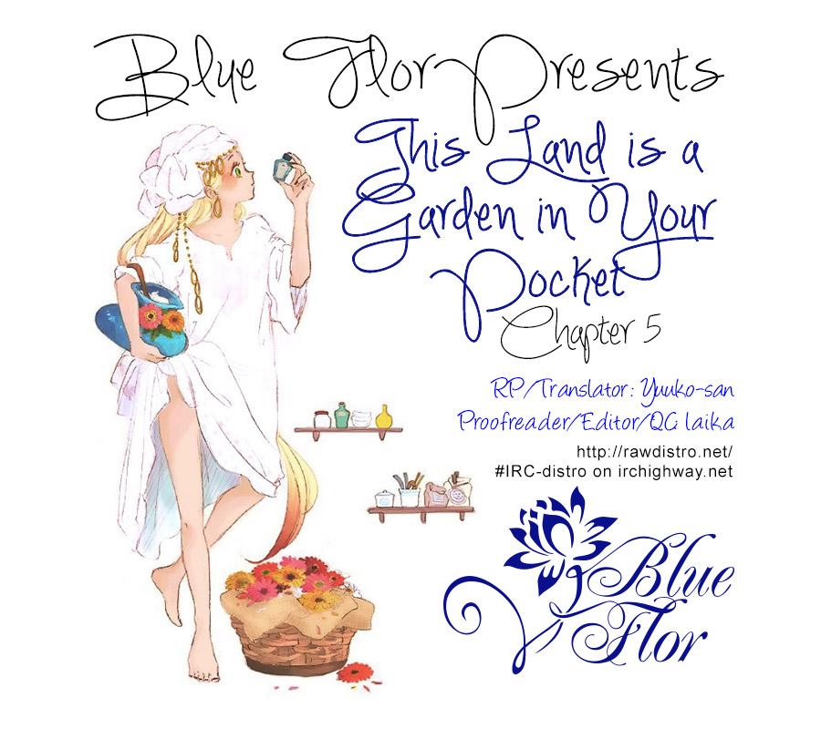The Land Is a Garden in Your Pocket Blink After 第1页