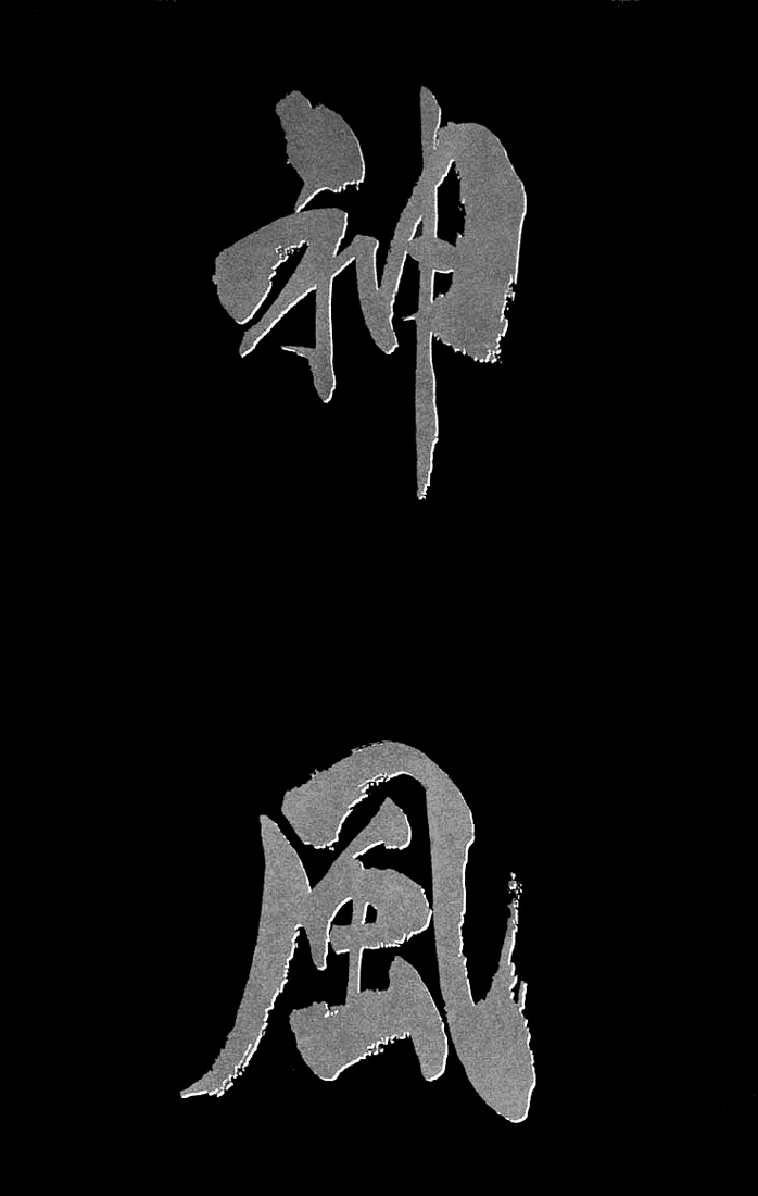 Kamikaze Vol. 1 Ch. 1 第2页