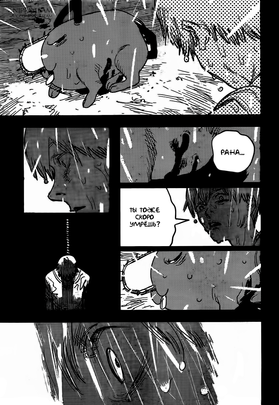 Chainsaw Man Собака и бензопила 第13页