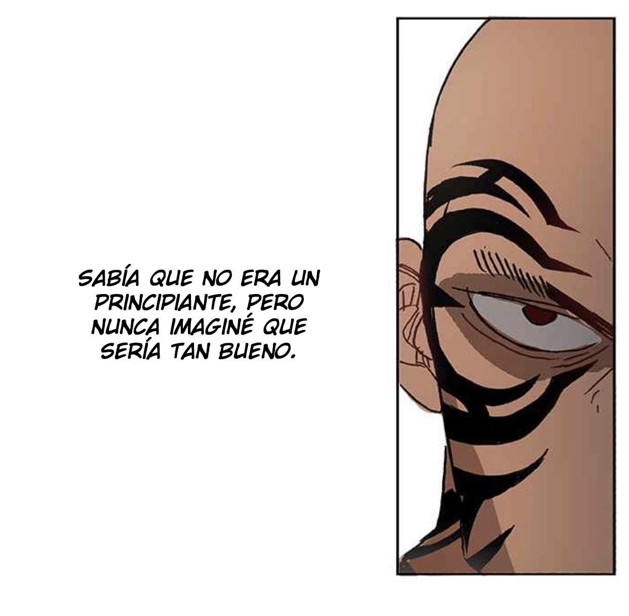 The Boxer EL GENIO 第55页