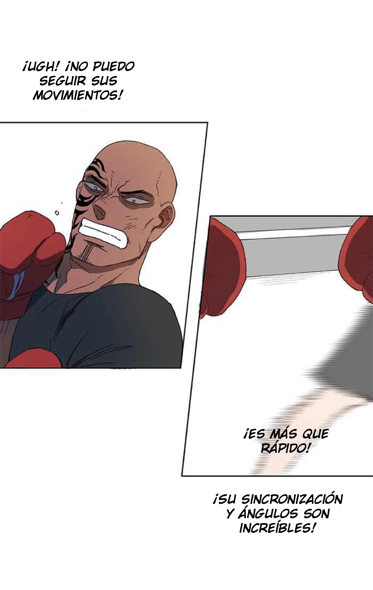The Boxer EL GENIO 第63页