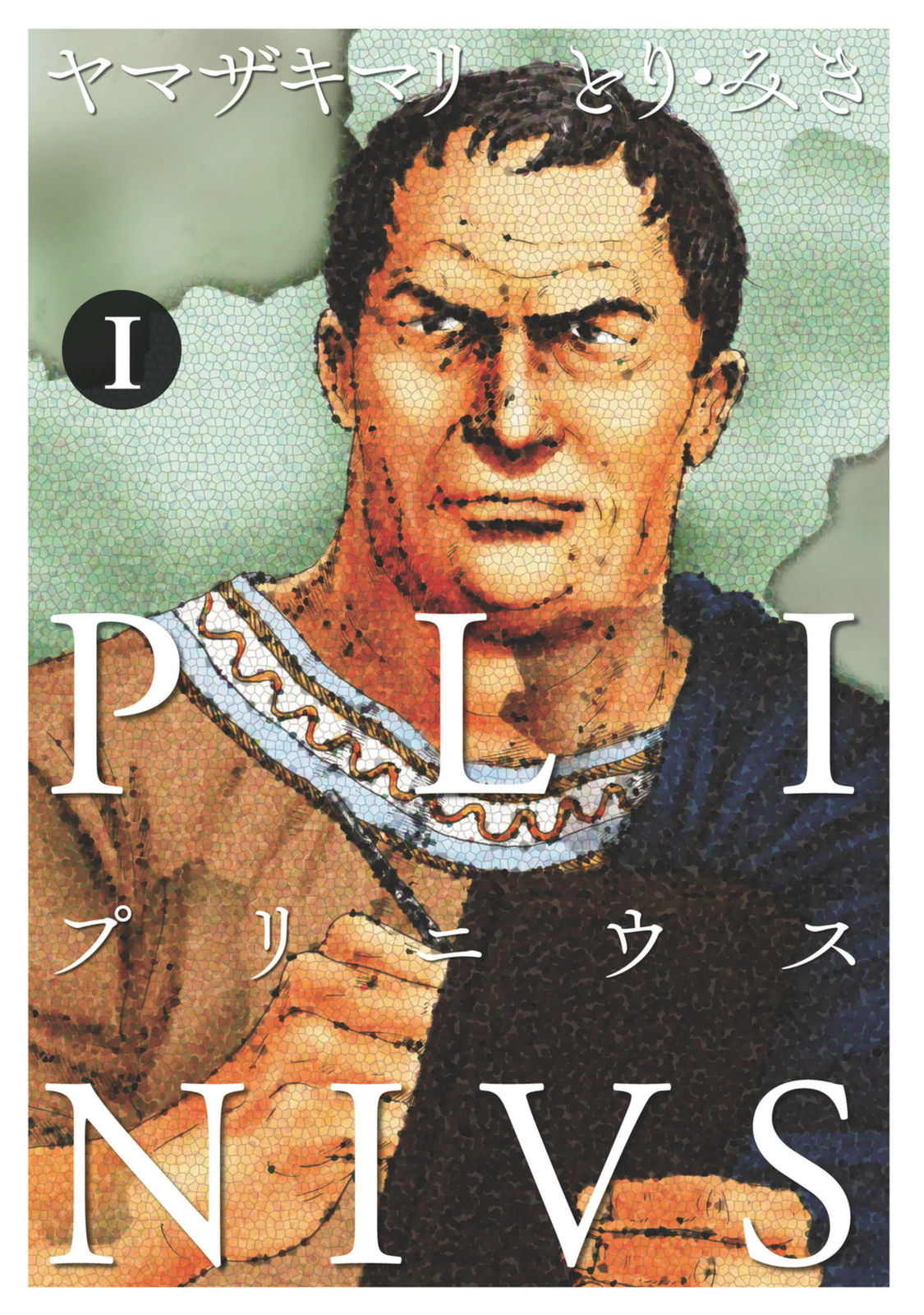 Plinivs Vesuvius 第2页