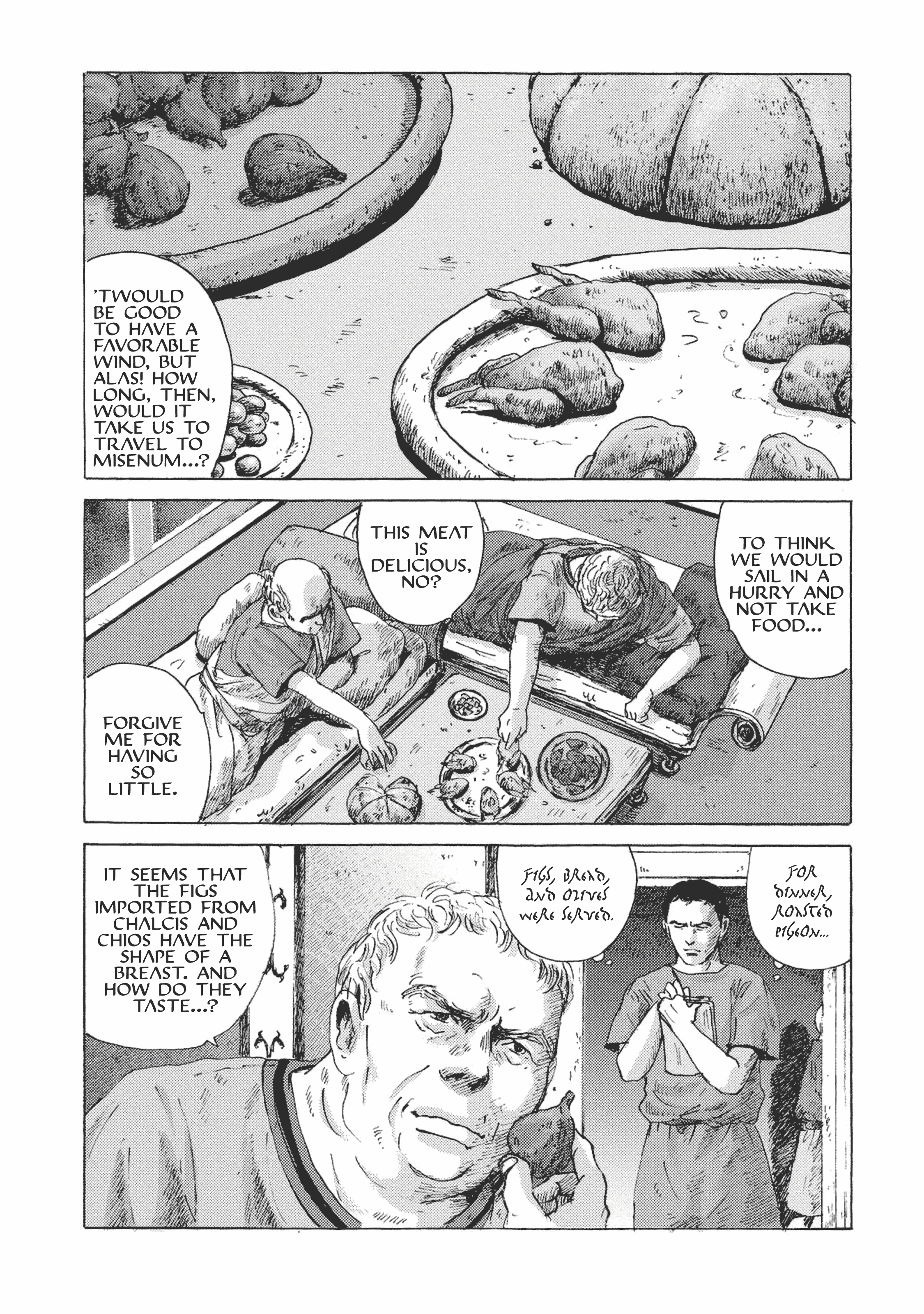 Plinivs Vesuvius 第27页