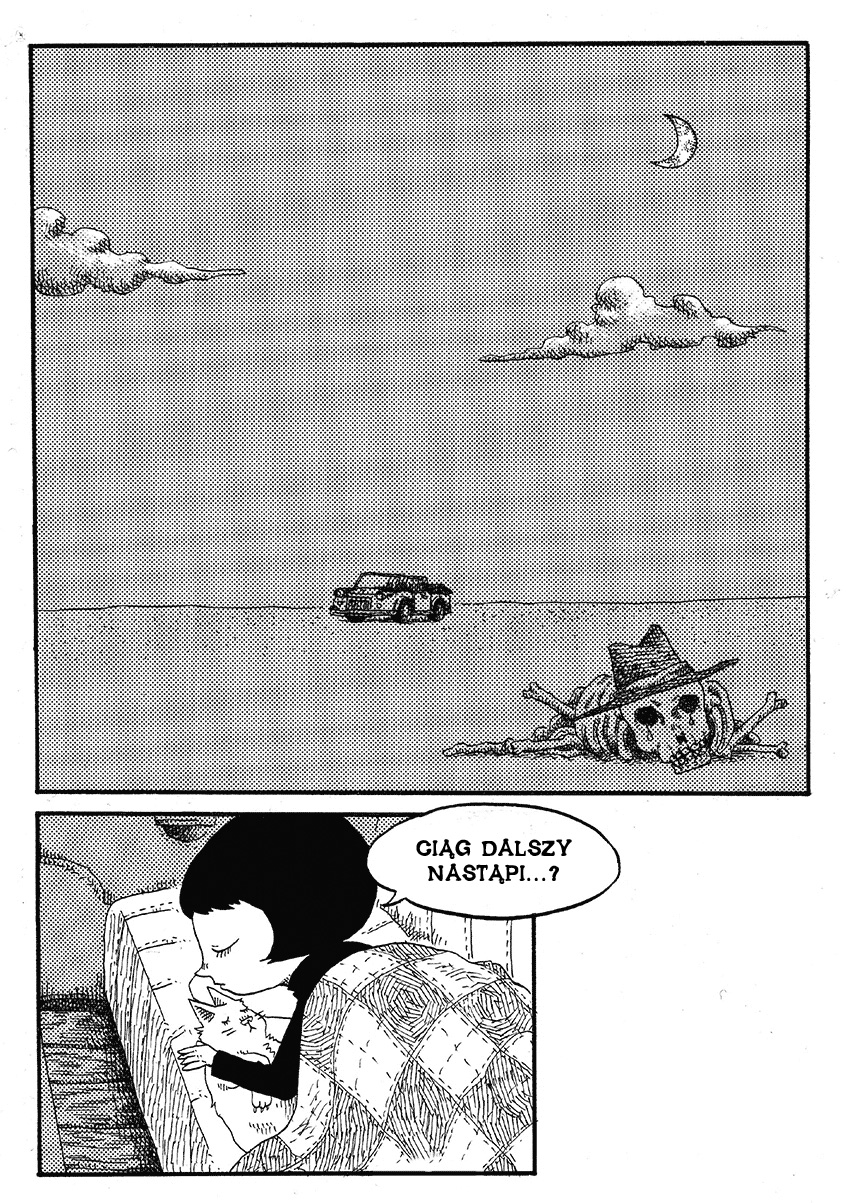 Cat in the Car 第6页