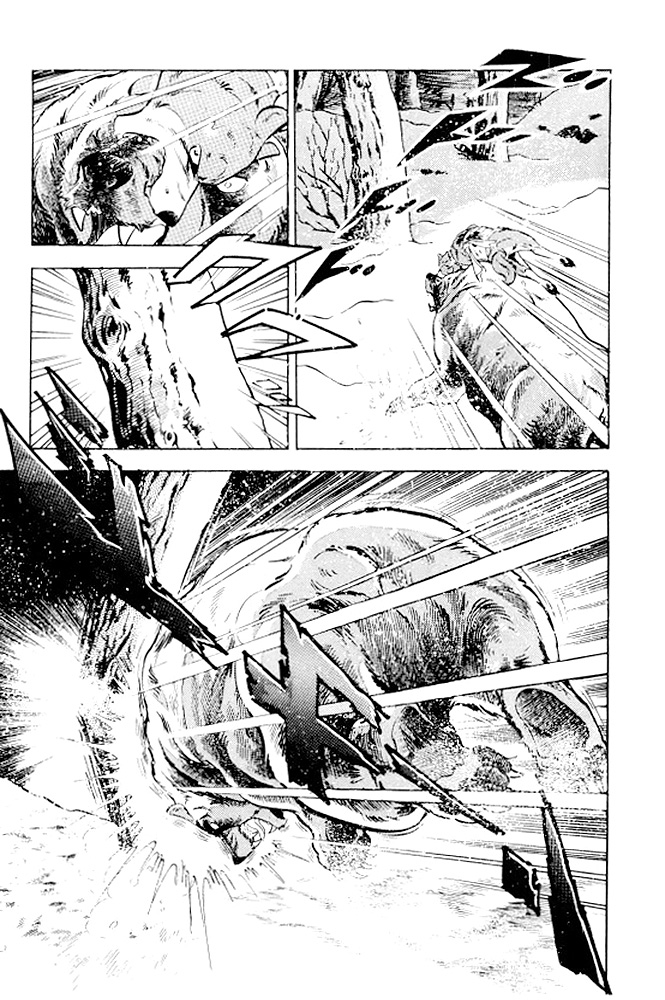 Silver Fang – The Shooting Star Gin – Ostatnie chwile Rikiego! 第46页