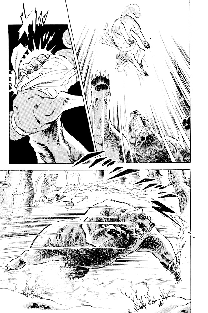 Silver Fang – The Shooting Star Gin – Ostatnie chwile Rikiego! 第48页