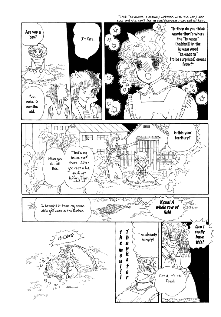 The Star of Cottonland Vol. 1 Ch. 3 第12页