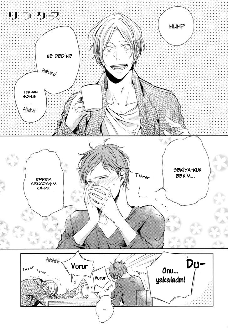Links Ch. 2 第2页