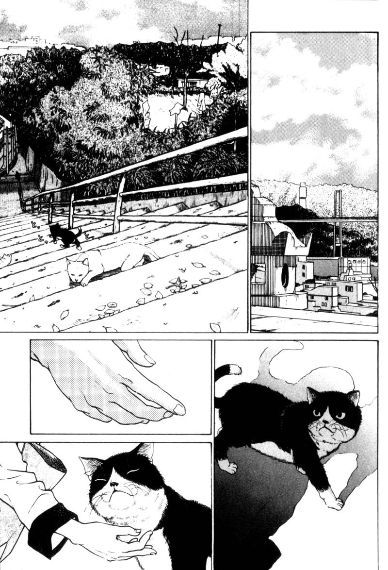 Nanase Powrót do domu, część 1 第7页