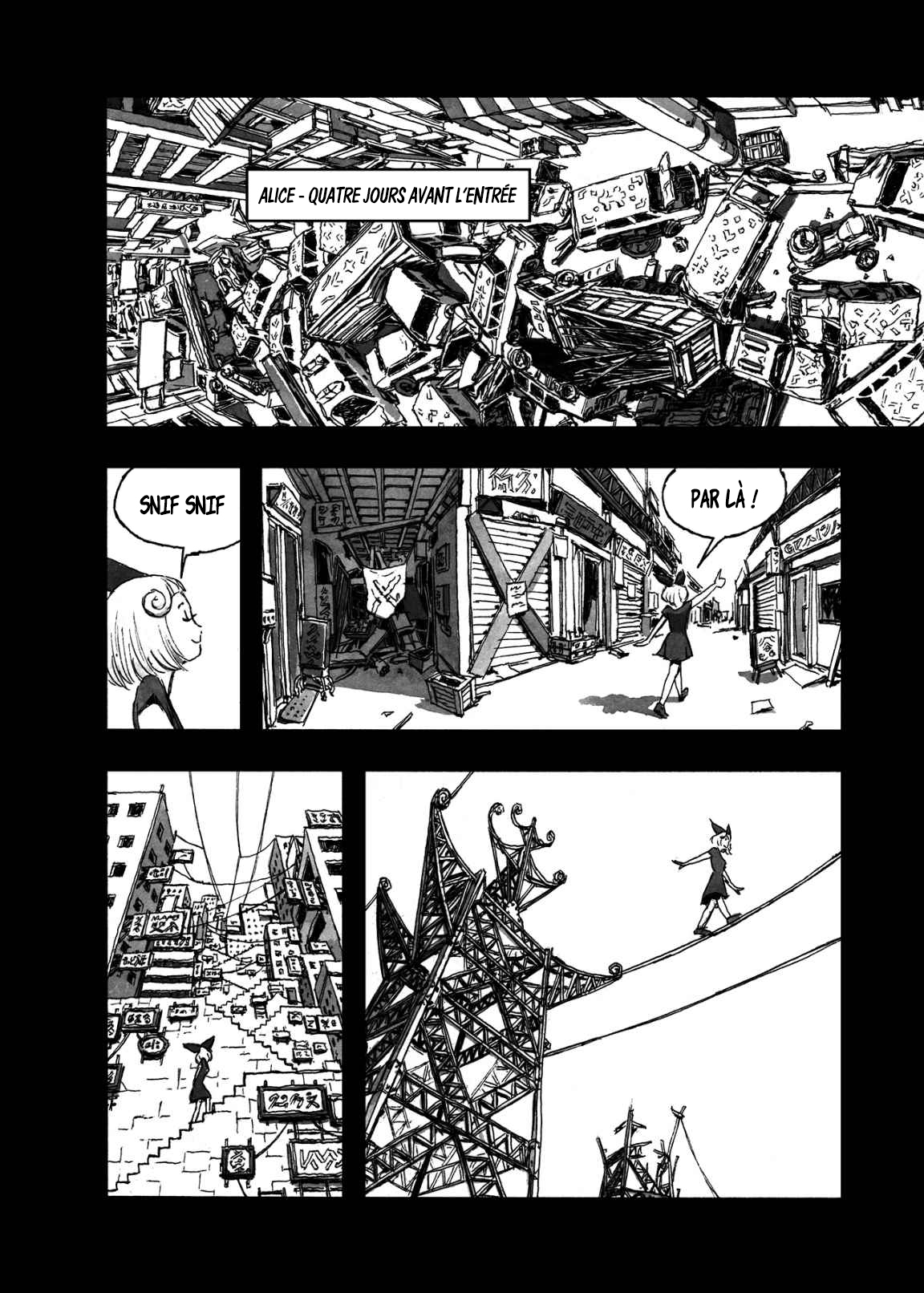 BIBLIOMANIA Alice dans Phantasmagoria 第44页