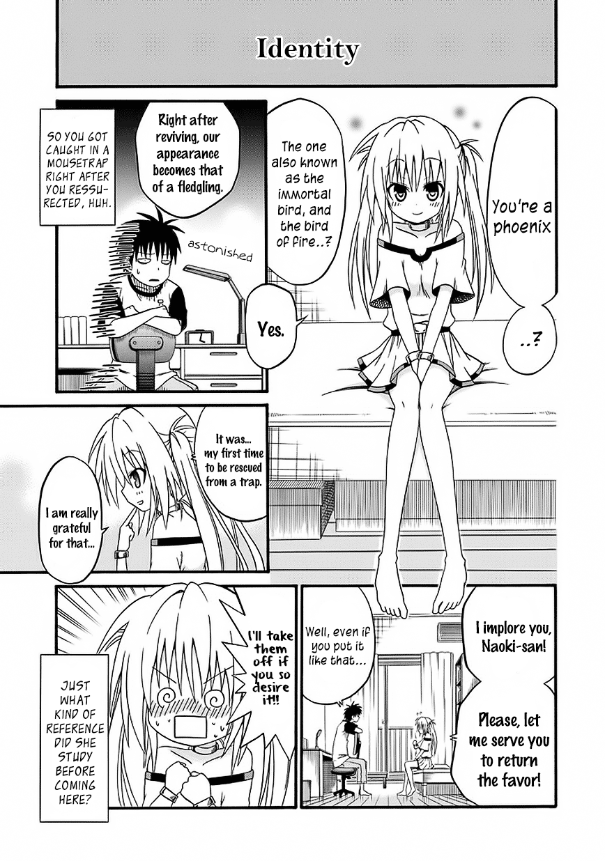 Phoenix's Return of a Favor 第5页