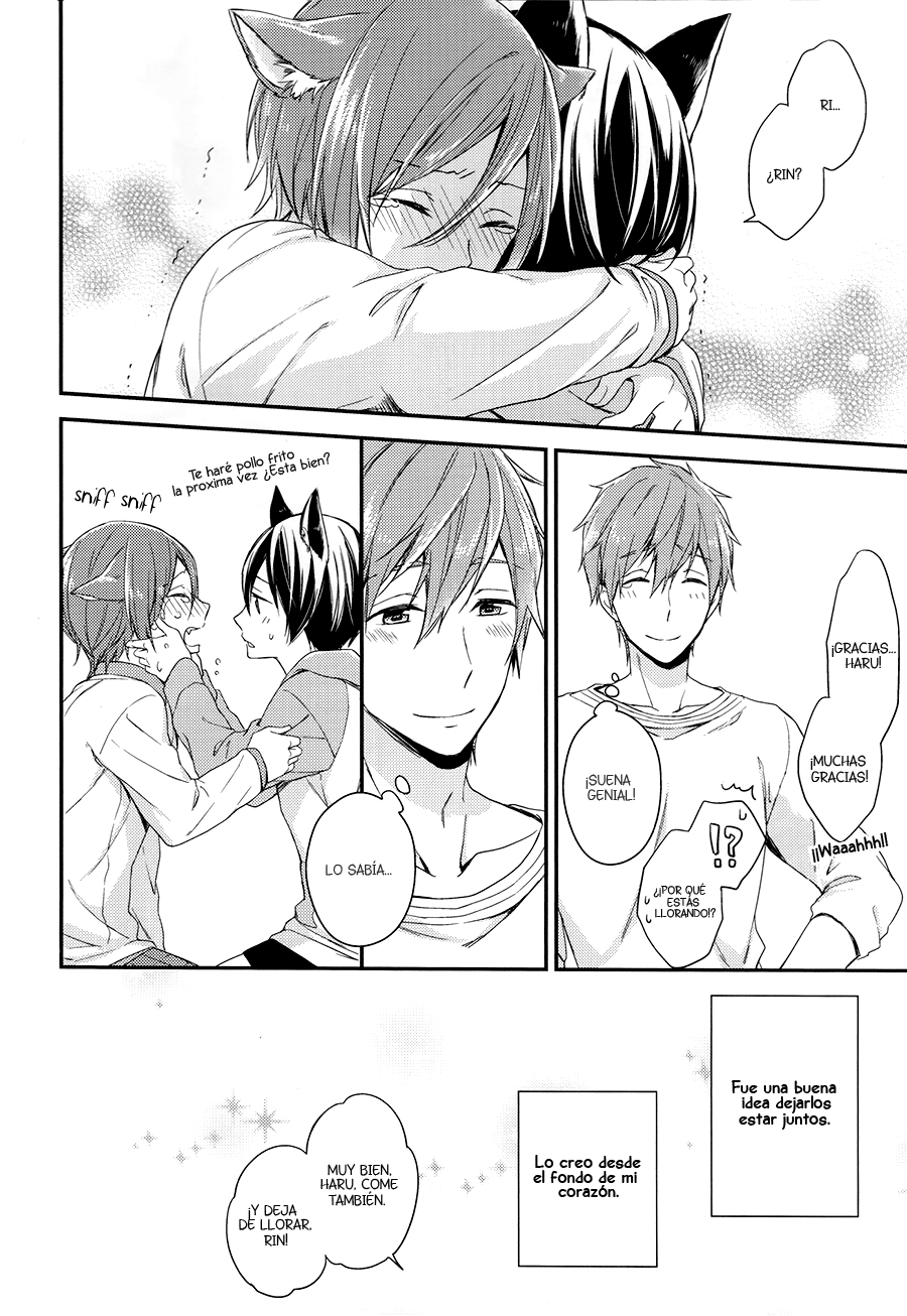Free! - Koneko no Parade (Doujinshi) Oneshot 第13页