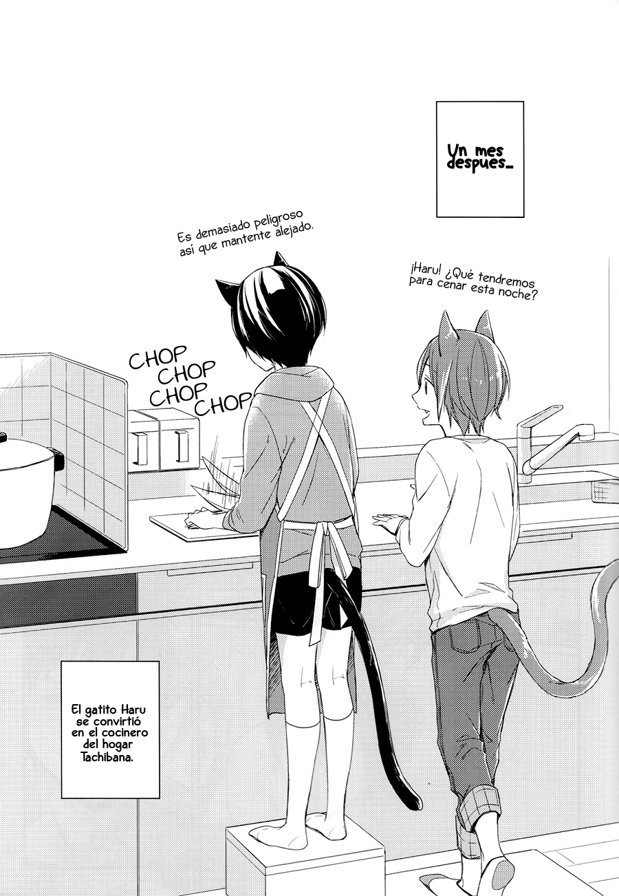 Free! - Koneko no Parade (Doujinshi) Oneshot 第14页