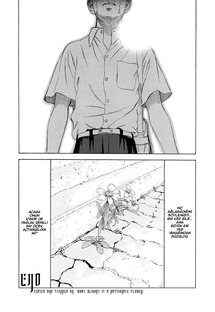 Happiness Teased and Stepped On, What Blooms is a Passionate Flower 第35页