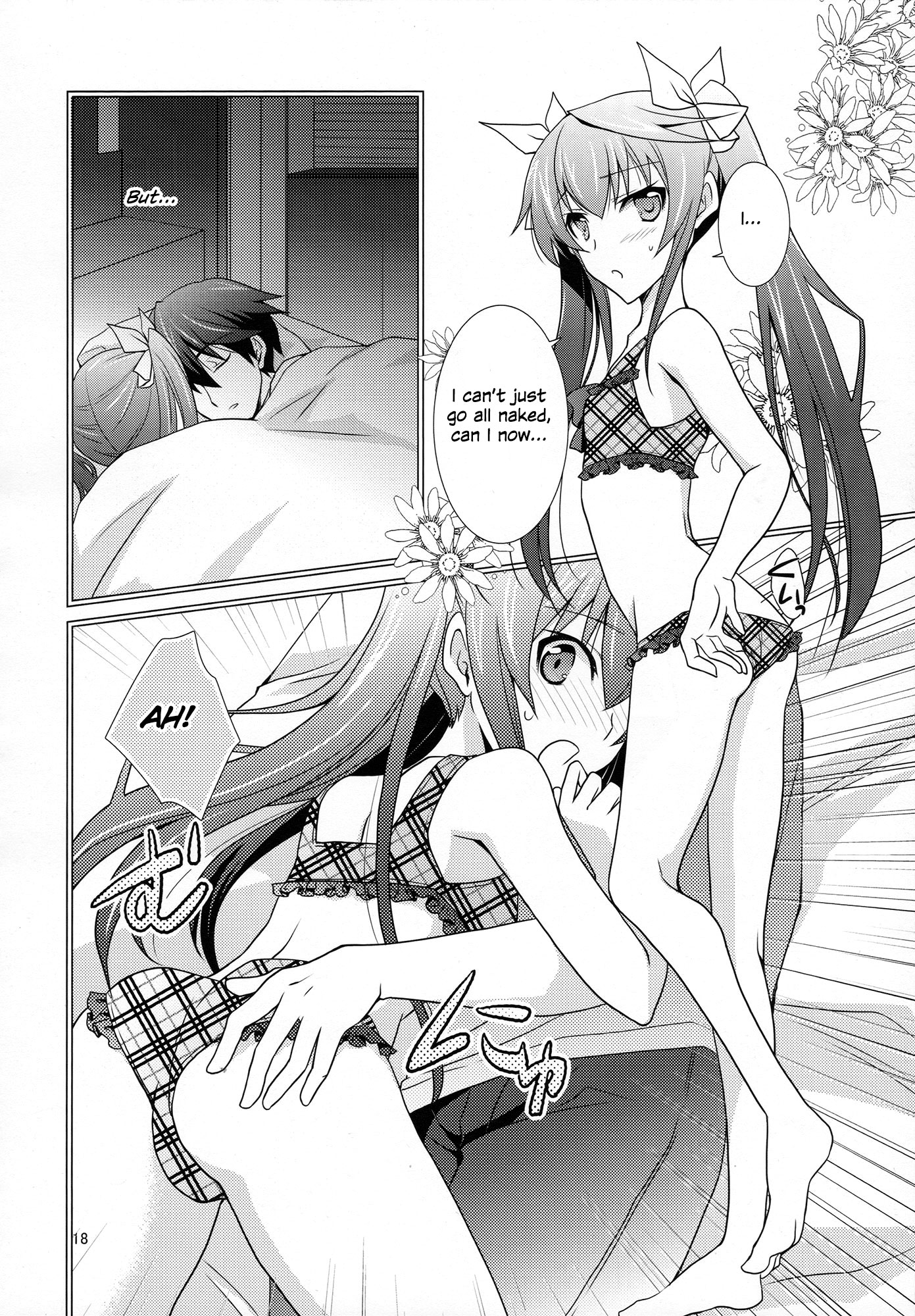 Infinite Stratos - Diamond Days (Doujinshi) Oneshot 第19页