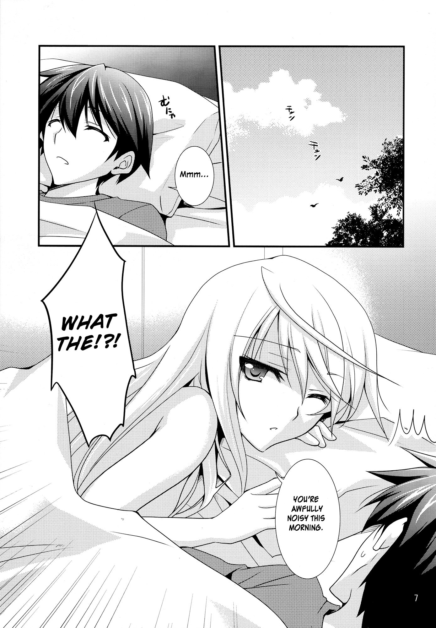 Infinite Stratos - Diamond Days (Doujinshi) 第8页