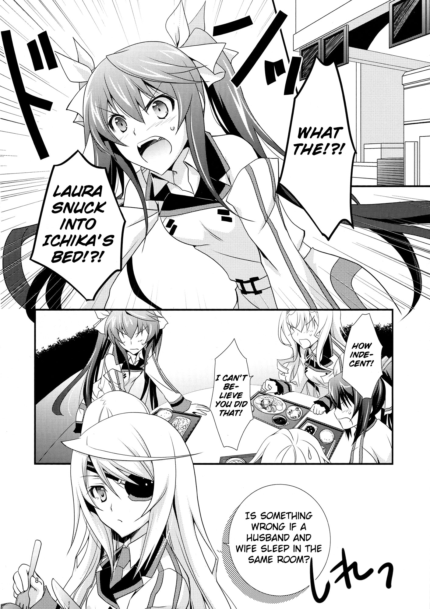 Infinite Stratos - Diamond Days (Doujinshi) Oneshot 第9页